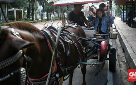 Menhub Sebut Pemda Jabar Usul Delman, Becak Cs Dilarang Saat Lebaran