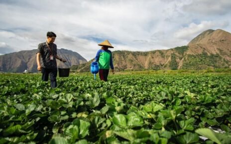 BRI Salurkan KUR Rp27,72 Triliun dalam 2 Bulan, Wujud Dukung UMKM