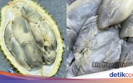 5 Makanan Ini Berbau Busuk Ini Jadi Favorit, Ada Durian dan Mie Busuk