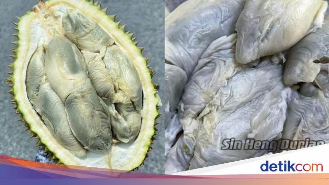 5 Makanan Ini Berbau Busuk Ini Jadi Favorit, Ada Durian dan Mie Busuk