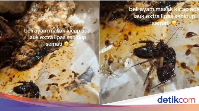 Apes! Beli Nasi Rames Wanita Ini Dapat Bonus Lauk Kecoak