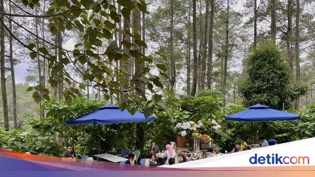 5 Kafe Estetik di Bandung Berkonsep Taman Bunga yang Cantik