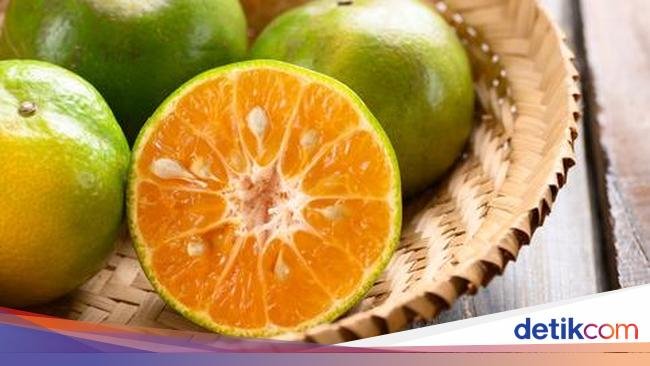 Sah! Jeruk Kalamansi Bengkulu Tengah Ditetapkan Sebagai Indikasi Geografis