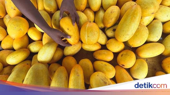 8 Manfaat Sehat Makan Timun Suri, Turunkan BB dan Lancarkan Pencernaan